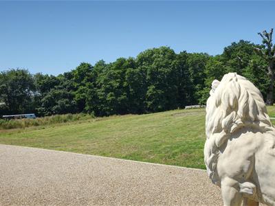 Picture 25